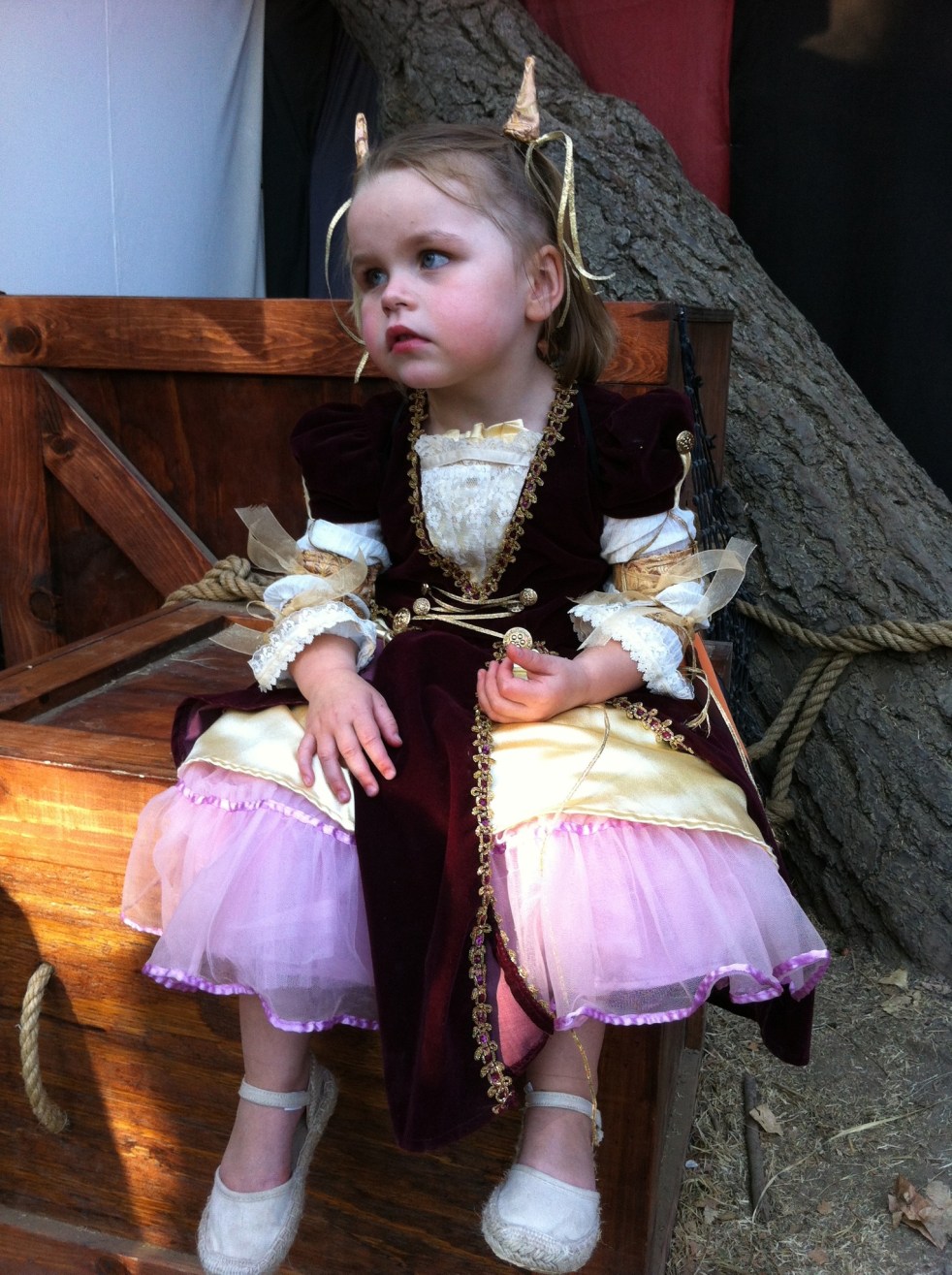 second year in the dress